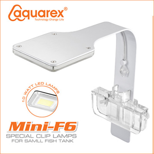 AQUAREX F6 LED블루웨이브[화이트]