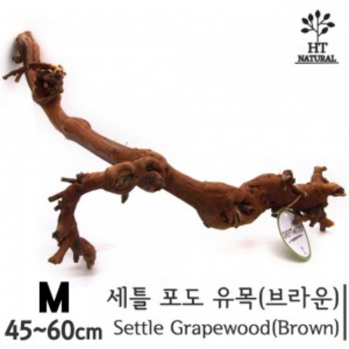 [유목] 세틀 포도 유목 (브라운) M [45~60cm]