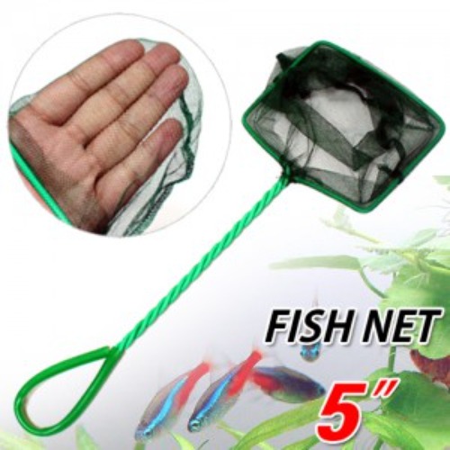 [뜰채] Fish Net 뜰채 5인치